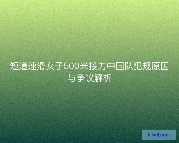 短道速滑女子500米接力中国队犯规原因与争议解析